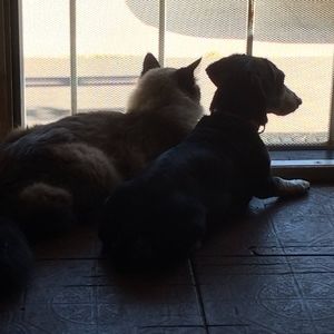 Meet your Posher, Christopher